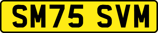 SM75SVM