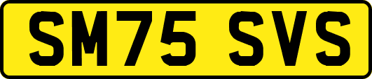 SM75SVS