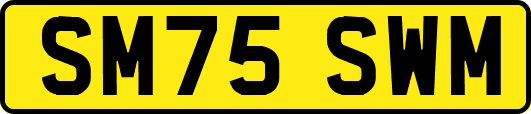 SM75SWM
