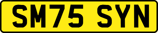 SM75SYN