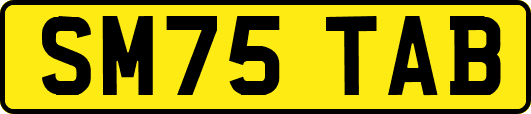 SM75TAB