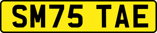 SM75TAE