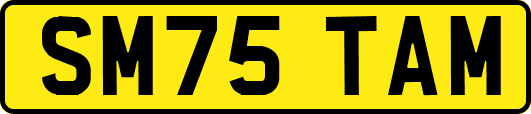 SM75TAM