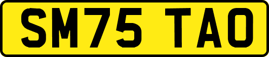 SM75TAO