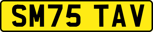 SM75TAV