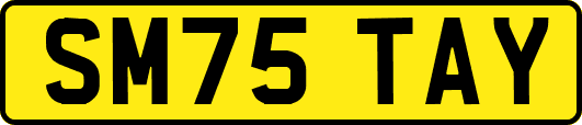 SM75TAY