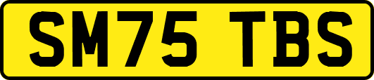 SM75TBS