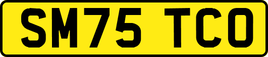 SM75TCO