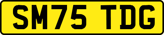 SM75TDG
