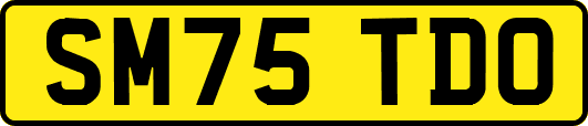 SM75TDO