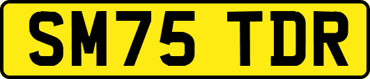 SM75TDR