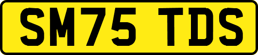 SM75TDS