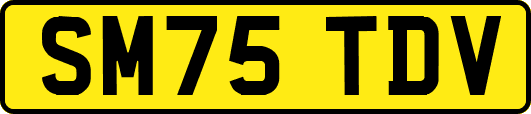 SM75TDV
