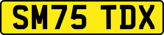 SM75TDX