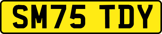 SM75TDY