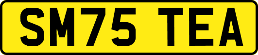 SM75TEA
