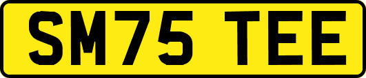 SM75TEE