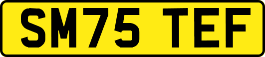 SM75TEF