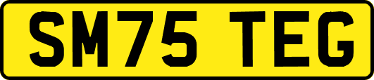 SM75TEG