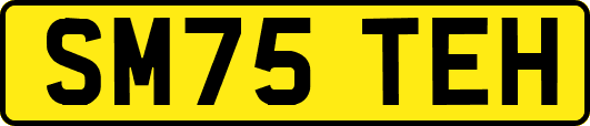 SM75TEH