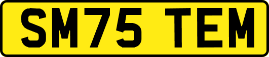 SM75TEM