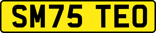 SM75TEO