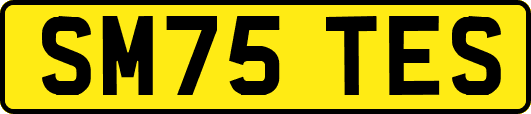 SM75TES