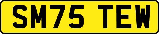 SM75TEW