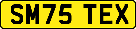 SM75TEX