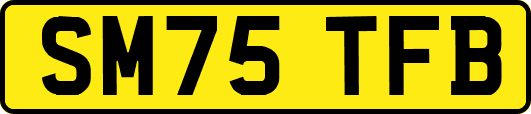 SM75TFB