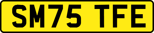 SM75TFE