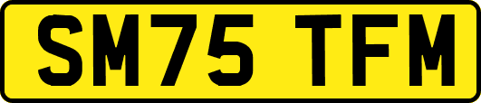 SM75TFM