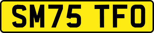 SM75TFO