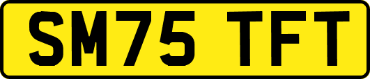 SM75TFT