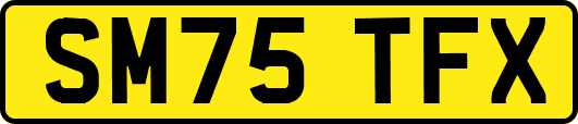SM75TFX