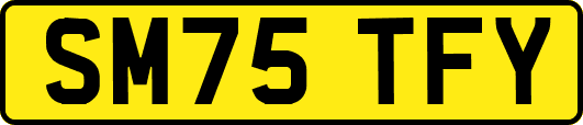 SM75TFY