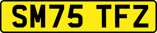 SM75TFZ