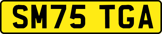 SM75TGA