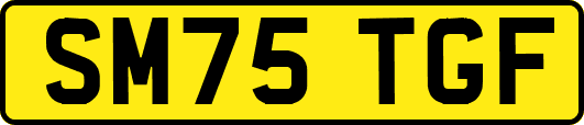 SM75TGF