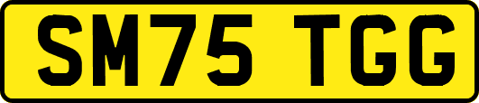 SM75TGG