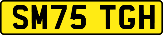 SM75TGH