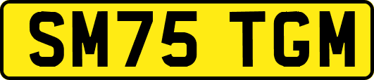 SM75TGM