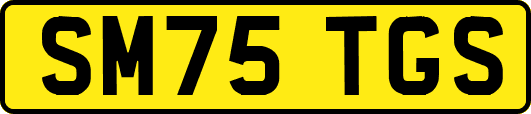 SM75TGS