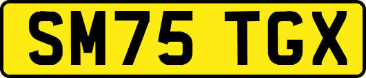 SM75TGX