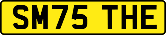 SM75THE