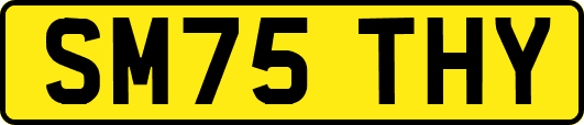 SM75THY