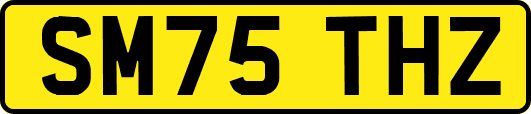 SM75THZ