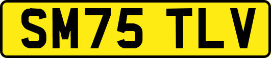 SM75TLV