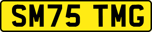 SM75TMG