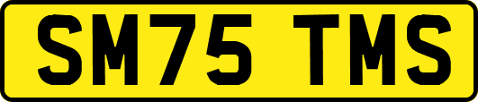 SM75TMS